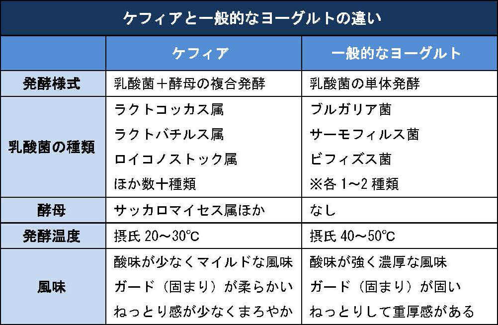 ヨーグルトとケフィアの違い