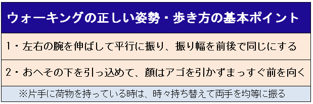 ウォーキングの正しい姿勢とポイント width=