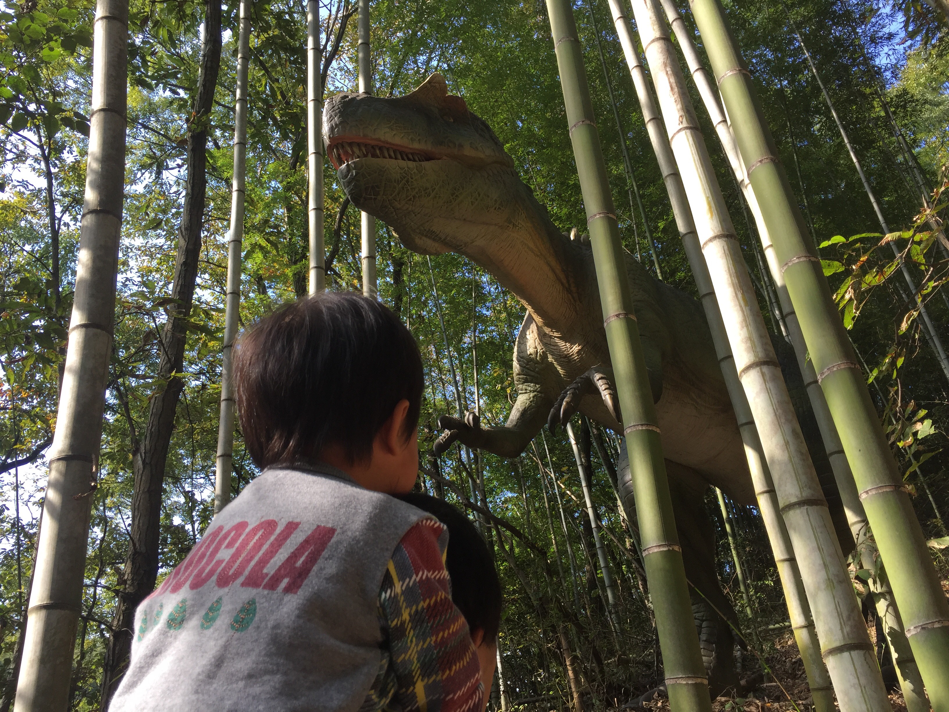 【ママさん体験記】小さな子どもからお年寄りまで幅広く遊べる遊園地！