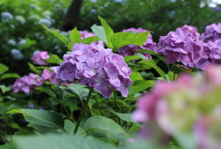雨の日は折り紙遊びをママと一緒に！簡単＆可愛い折り紙デコレーション