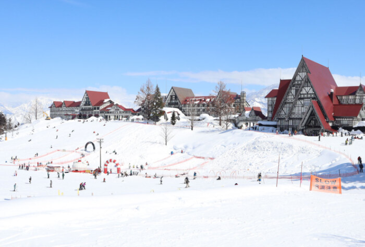 【体験記】年末前が狙い目⁈子どもと行く「上越国際スキー場」新幹線旅のススメ